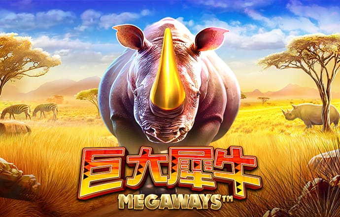 6t体育